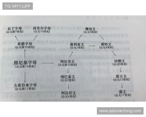 深入剖析LNG战队的游戏节奏与策略演变之路