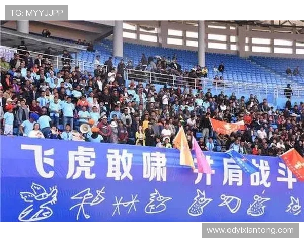 丽江飞虎与深圳队的精彩对决结果揭晓赛事回顾与分析