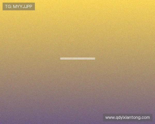 聚焦足球明星的成长与荣耀之路,探索他们背后的付出与奋斗